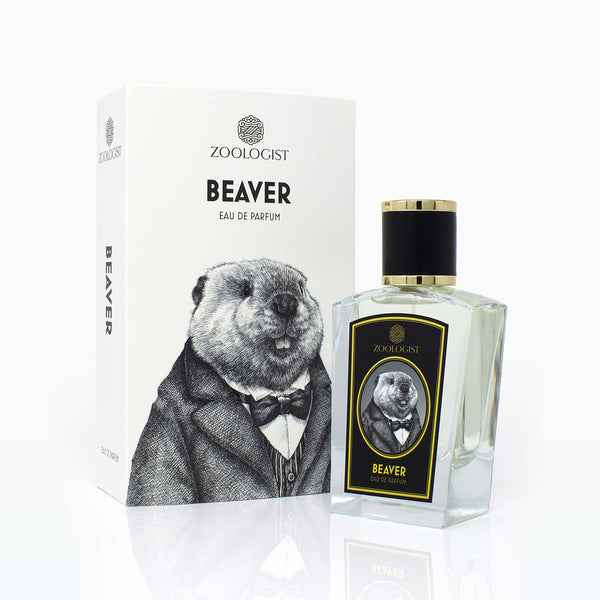 A glass bottle of Beaver by Zoologist, rich with woody musks and hints of musky castoreum, is placed beside its white packaging box. Both the bottle and box feature an image of a beaver dressed in a suit.