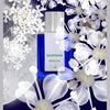 Hemlock perfume box with QUARTANA HEMLOCK label, blue accent