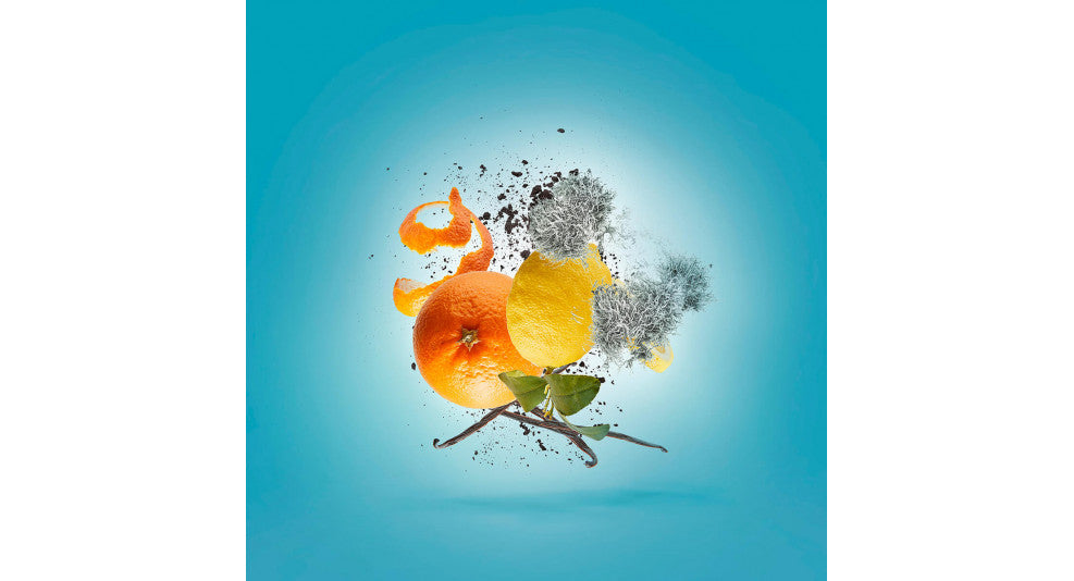 An arrangement of an orange peel, lemon peel, tree branch, lichen, and soil evokes the essence of Erba Pura by Xerjoff against a bright blue background.