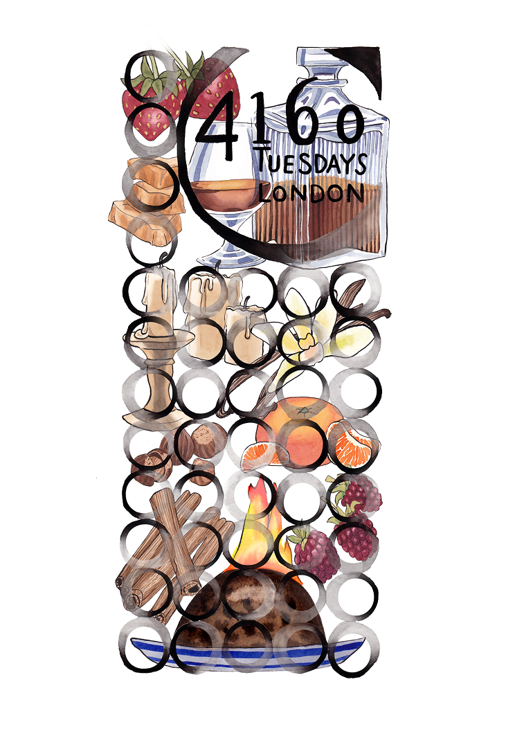 Illustration of an assortment of fruits, spices, and a bottle of perfume labeled "4160Tuesdays." The items include strawberries, vanilla pods, cinnamon sticks, a pear, and raspberries, capturing the essence of rich fruity boozy notes in the fragrance "Captured by Candlelight.