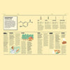 Magazine spread with vanillin diagram, icons, map illustration, and dense text