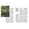 Perfume magazine spread with hands holding leaves and dense text columns