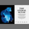 Blue watercolor-style wolf illustration facing left on book page with article text