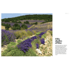 Lavender fields in France with bunches of freshly cut lavender in the foreground; their addictive fragrance fills the air. Text on the right details France's lavender production areas and export statistics. Product Name: Addictive Substances, Nez 08 Autumn 2019 from Brand Name: Nez.