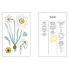 Narcissus perfume booklet page with botanical line illustrations and labels