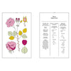 Nez Editions Rose book spread with rose anatomy drawings and chemical component diagrams.