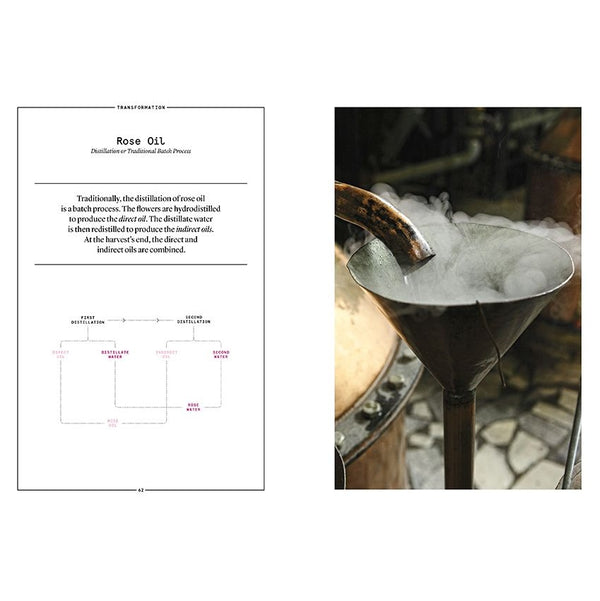 Nez Editions Rose book spread with rose oil distillation diagram and funnel photo.