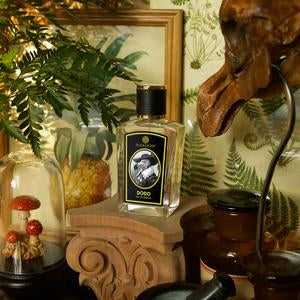 A perfume bottle labeled "Zoologist Dodo 2020" is elegantly displayed on a wooden stand surrounded by lush greenery, framed artwork, a glass dome with mushrooms, and an animal skull statue in the room. The scene evokes the essence of blackcurrant and fougère notes.