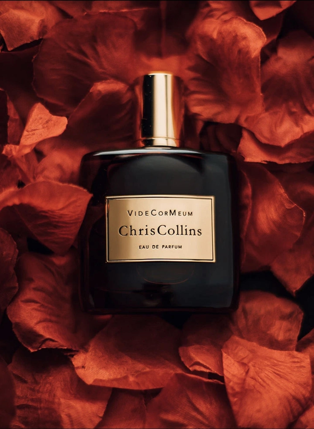 A dark bottle of Chris Collins VIDE COR MEUM sits against a backdrop of red rose petals, creating a seductive atmosphere reminiscent of an Armenian style rose.