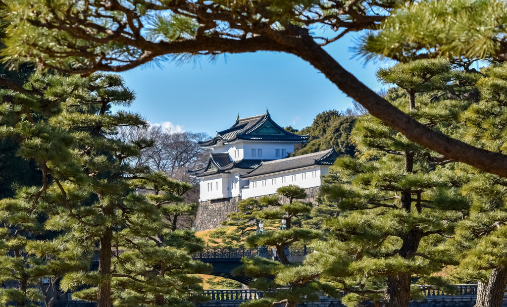 On a clear day, a traditional Japanese castle framed by pine trees fills the air with the smoky sandalwood scent of Tokyo by Gallivant Perfumes.