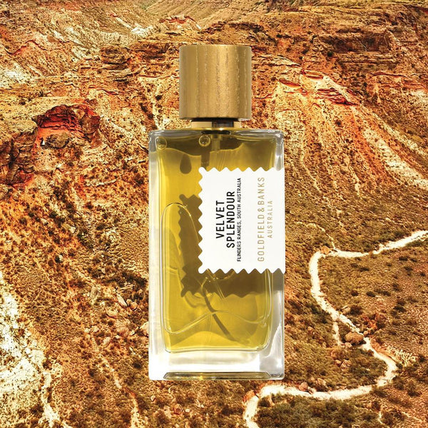 A bottle of "Velvet Splendour" perfume by Goldfield & Banks, housed in a clear square glass bottle with a golden cap, is set against the backdrop of a rugged desert landscape. The fragrance captures the essence of Australian spring, highlighted by notes of Mimosa Absolute.
