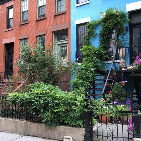 Two neighboring row houses in Brooklyn boast a charming garden out front. One house is brick red with a green door, while the other is painted bright blue, with greenery climbing its facade and steps, exuding the sweet summer scent of blooming flowers—like a bottle of Brooklyn by Gallivant from Gallivant Perfumes.