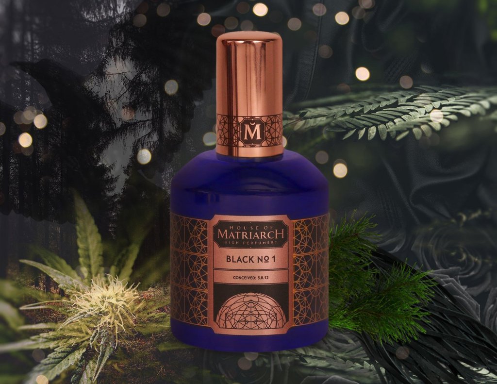 A bottle of House of Matriarch Black No. 1 (Blackbird) men's fragrance sits against a forest-themed background, surrounded by green foliage. The dark blue bottle, adorned with copper-colored geometric designs, exudes exotic natural essences.