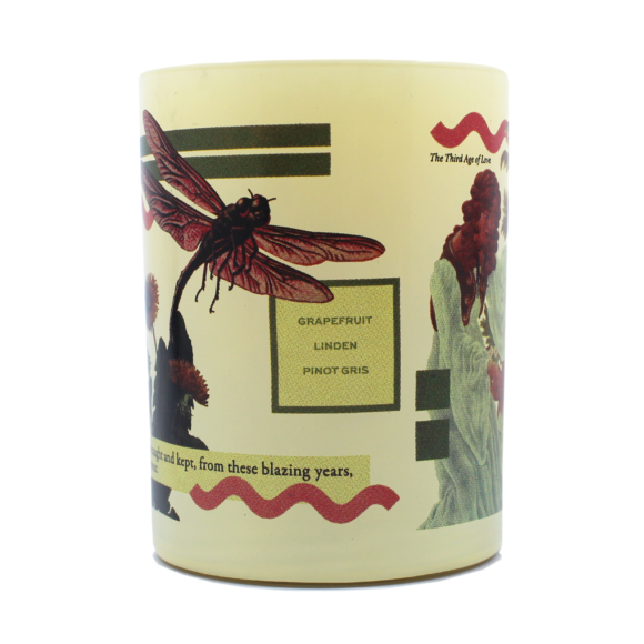 The Imaginary Authors "Meet Me In The Meadow" decorative candle, adorned with graphics of a dragonfly and a person, features the scent notes "Grapefruit, Linden, Pinot Gris." It is crafted from a soy blend and offers a 60-hour burn time for lasting enjoyment.