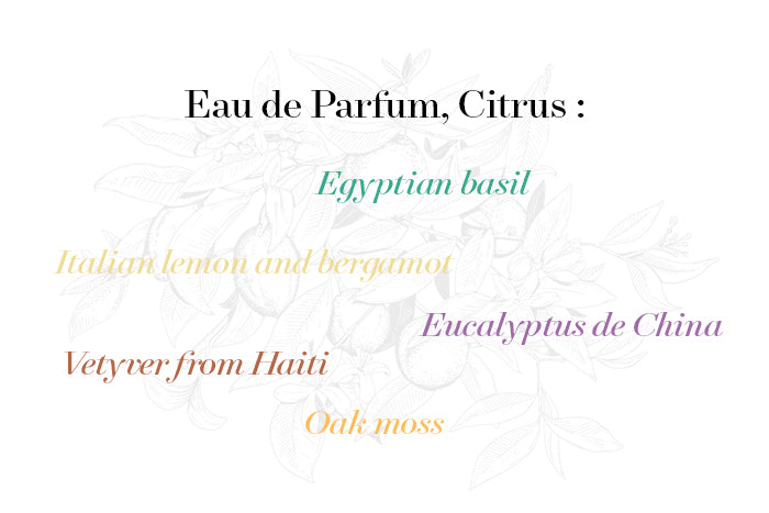 A list of fragrance notes for "Verveine d'Eté by Le Jardin Retrouvé", including Egyptian basil, Italian lemon, bergamot, Verveine d’Eté, Eucalyptus de China, Vetyver from Haiti, and oak moss, against a light botanical background ensuring a fresh scent throughout.